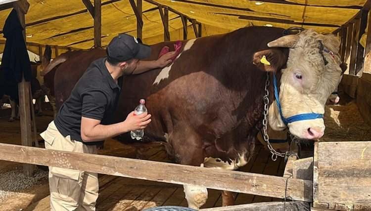 <p><strong>Piyasalarda canlı kilo bazlı satışlar da dikkat &ccedil;ekiyor. 2026 yılı i&ccedil;in ortalama canlı kilo fiyatları ş&ouml;yle:</strong></p>

<p>&nbsp;</p>
