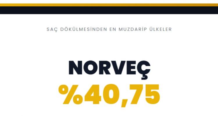 <p><span style="color:#B22222"><strong>NORVE&Ccedil;&nbsp;</strong></span></p>
