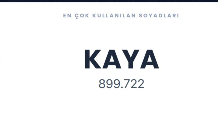 <p><span style="color:#B22222"><strong>KAYA</strong></span></p>
