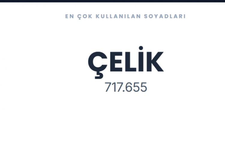 <p><span style="color:#B22222"><strong>&Ccedil;ELİK&nbsp;</strong></span></p>
