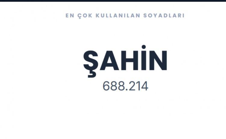 <p><span style="color:#B22222"><strong>ŞAHİN&nbsp;</strong></span></p>
