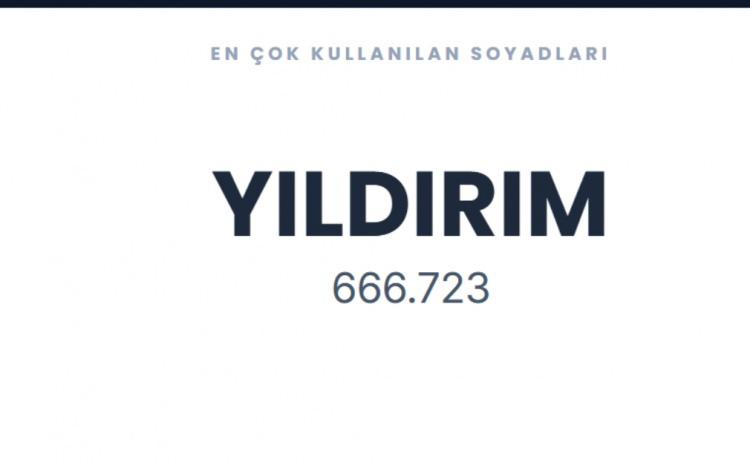 <p><span style="color:#B22222"><strong>YILDIRIM&nbsp;</strong></span></p>
