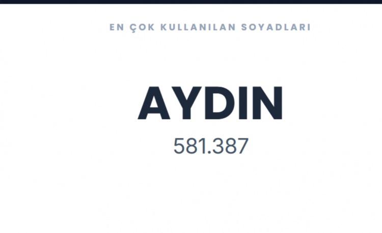 <p><span style="color:#B22222"><strong>AYDIN&nbsp;</strong></span></p>
