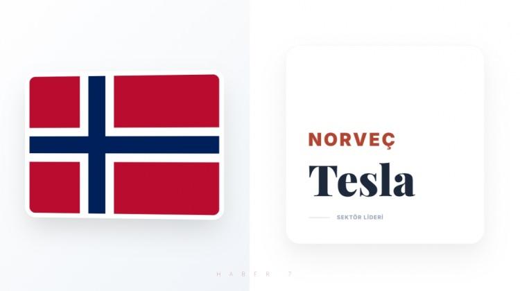 <p><span style="color:#B22222"><strong>NORVE&Ccedil;</strong></span></p>
