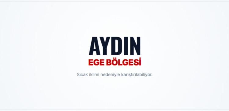 <p><strong>AYDIN</strong></p>

<p>&nbsp;</p>
