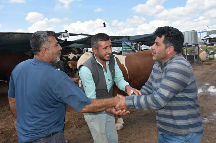 <p><span style="color:rgb(33, 37, 41)">K&uuml;&ccedil;&uuml;kbaş ise 18 bin ila 45 bin lira arasında değişen fiyatlarla satılıyor. Satıcılar, bir&ccedil;ok kurbanlığın satıldığını belirterek alıcıları ellerini &ccedil;abuk tutmaları i&ccedil;in uyardı.</span></p>
