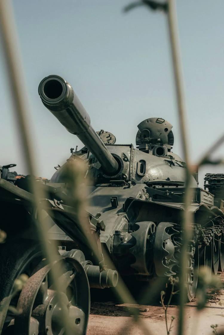 <p>74 -G&Uuml;NEY SUDAN (122 TANK)</p>
