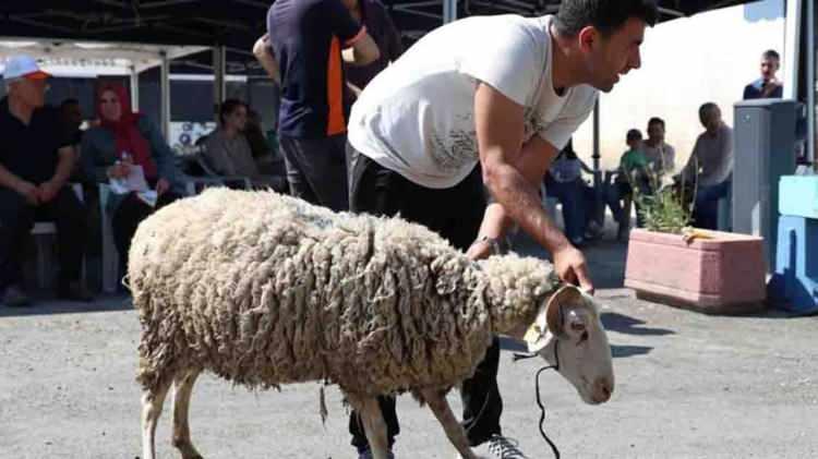 <p>Ani ağrı, hareket kısıtlılığı veya kaslarda şiddetli zorlanma hissi oluşması durumunda dinlenmeden &ccedil;alışmaya devam edilmemesi gerektiğini belirten Sara&ccedil;oğlu, <strong>"Basit g&ouml;r&uuml;len kas zorlanmaları ilerleyen s&uuml;re&ccedil;te daha ciddi ortopedik problemlere d&ouml;n&uuml;şebilir"</strong> şeklinde konuştu.&nbsp;</p>

<p>&nbsp;</p>

