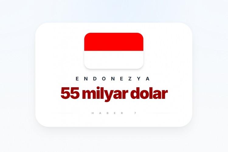 <p><span style="color:#B22222"><strong>6)&nbsp; ENDONEZYA</strong></span></p>
