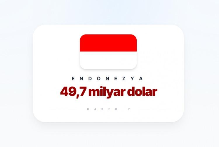 <p><span style="color:#B22222"><strong>6)&nbsp; ENDONEZYA</strong></span></p>
