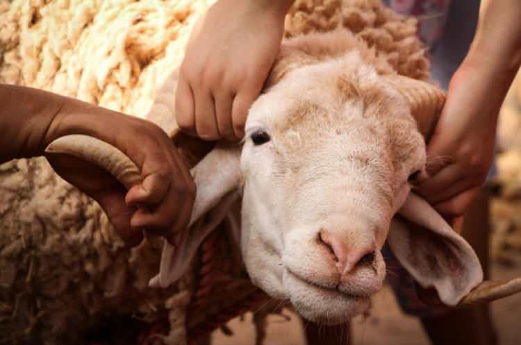 <p>Bursa Deri İhtisas ve Karma Organize Sanayi B&ouml;lgesi (OSB) Başkan Vekili Murat &Ccedil;ağlar, yaptığı a&ccedil;ıklamada, OSB'deki 115 firmanın g&uuml;nl&uuml;k 600 ton ham deri işleme kapasitesine sahip olduğunu s&ouml;yledi.&nbsp;</p>

<p>&nbsp;</p>
