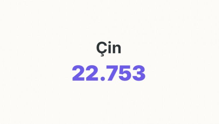 <p><span style="color:#B22222"><strong>&Ccedil;İN</strong></span></p>
