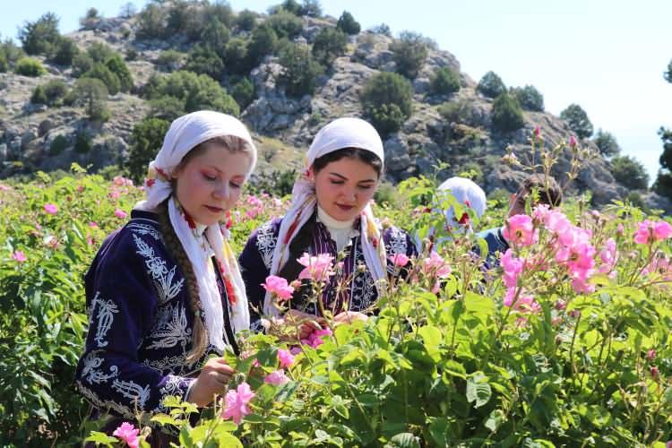 Burdur halkı tarlaya koştu! T&uuml;rk k&uuml;lt&uuml;r&uuml;n&uuml;n en &ouml;nemli değeri i&ccedil;in hasat başladı!