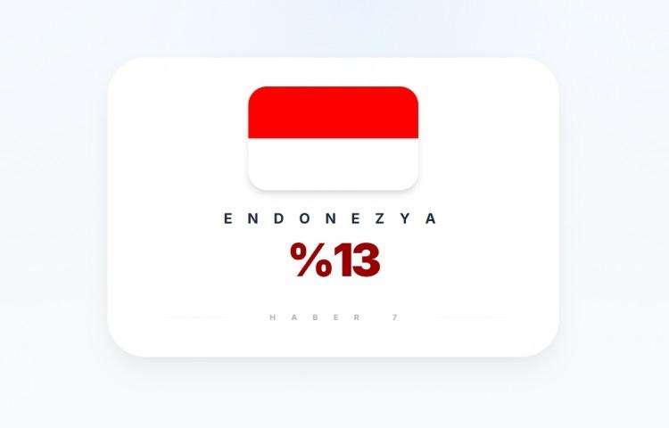 <p><span style="color:#B22222"><strong>ENDONEZYA</strong></span></p>
