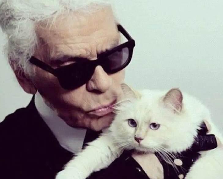 <p>Lagerfeld'ın amacı, g&ouml;z&uuml;nden sakındığı kedisinin kendisinden sonra da l&uuml;ks i&ccedil;inde bir yaşam s&uuml;rmesiydi.&nbsp;</p>
