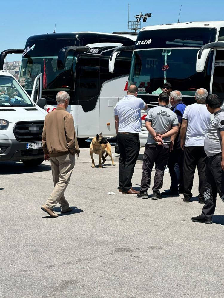 <p>Elazığ Şehirlerarası Otob&uuml;s Terminali peronlarında edinilen bilgiye g&ouml;re, bir otob&uuml;sle getirildiği ve terminal i&ccedil;erisine bırakıldığı iddia edilen kurt cinsi k&ouml;pek, peron &ouml;n&uuml;nde B.U.'ya (41) saldırdı.</p>
