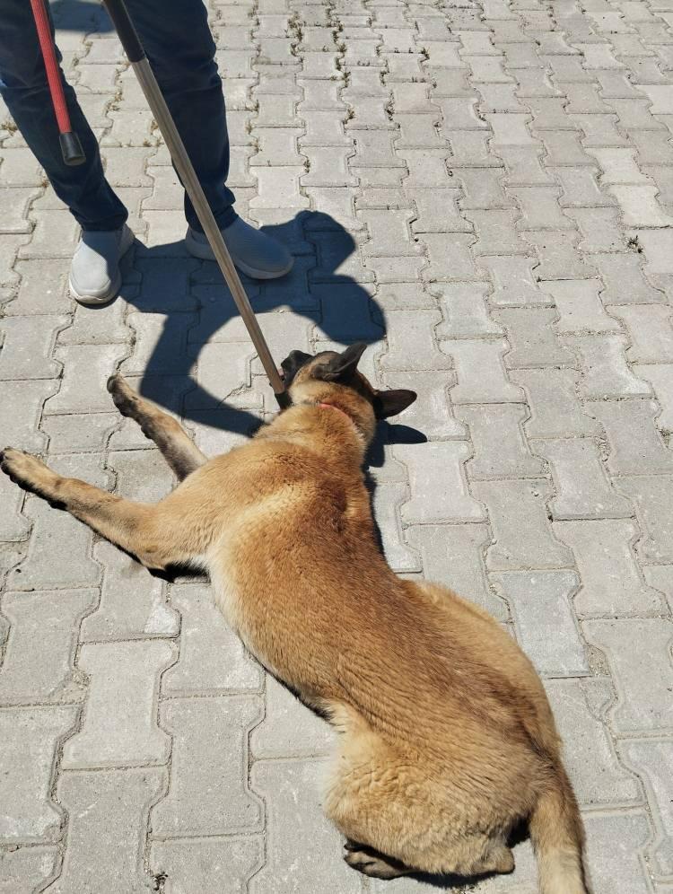 <p>Olay yerinde ilk tedavisi yapılan kadın, ambulansla Fethi Sekin Şehir Hastanesi'ne kaldırılarak tedavi altına alındı.</p>

