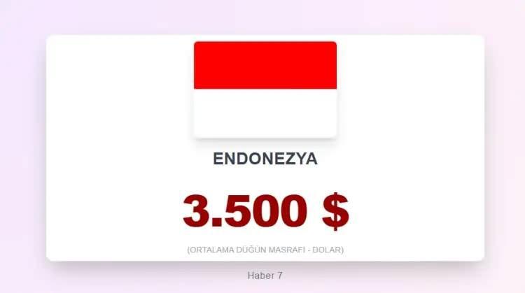 <p><span style="color:inherit"><span style="color:rgb(178, 34, 34)"><strong>27)&nbsp; ENDONEZYA</strong></span></span></p>

<p>&nbsp;</p>
