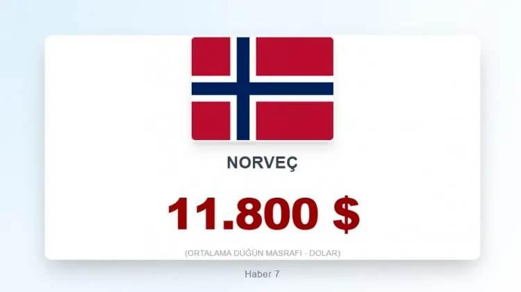 <p><span style="color:inherit"><span style="color:rgb(178, 34, 34)"><strong>21)&nbsp; NORVE&Ccedil;</strong></span></span></p>

<p>&nbsp;</p>
