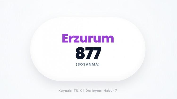 <p><span style="color:#B22222"><strong>ERZURUM</strong></span></p>
