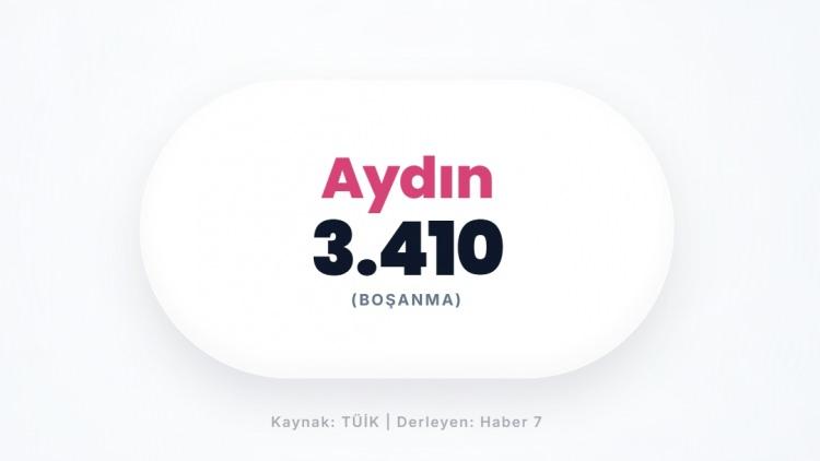 <p><span style="color:#B22222"><strong>AYDIN</strong></span></p>
