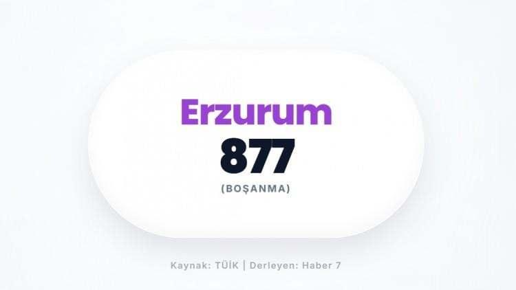 <p><span style="color:#B22222"><strong>ERZURUM</strong></span></p>
