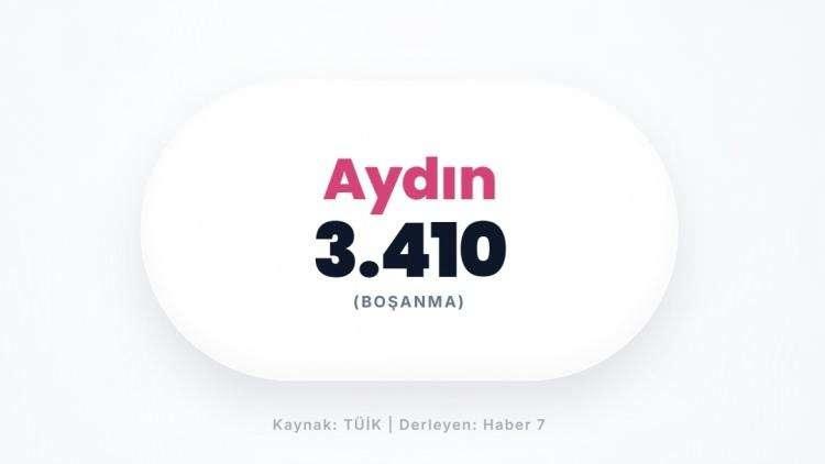 <p><span style="color:#B22222"><strong>AYDIN</strong></span></p>
