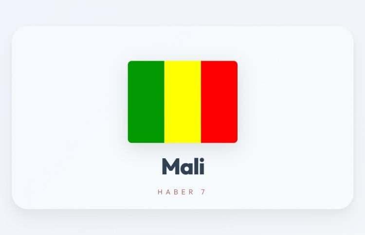 <p><span style="color:#B22222"><strong>MALİ</strong></span></p>
