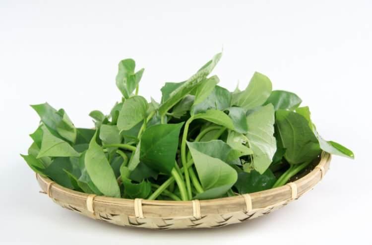 <p>Molecules ve Foods gibi uluslararası hakemli dergilerde yayımlanan bilimsel raporlara g&ouml;re; bu yapraklardaki besin maddelerinin y&uuml;ksek biyoaktiviteye ve m&uuml;kemmel bir stabiliteye sahip olduğunu, yani pişirilse veya işlense bile değerini b&uuml;y&uuml;k oranda koruduğunu kanıtlıyor.</p>
