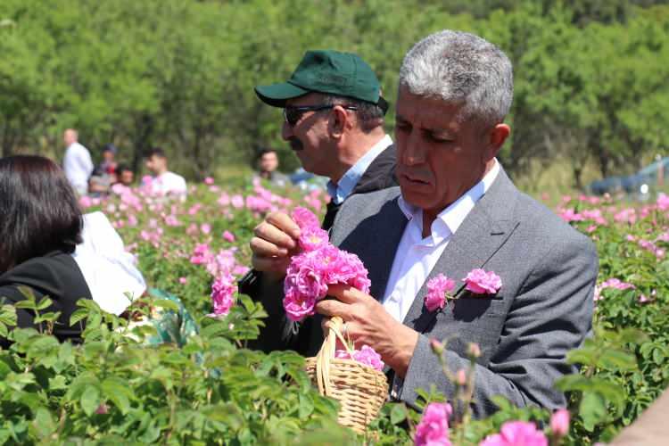 <p>Burdur Valiliği tarafından d&uuml;zenlenen programda Karakent k&ouml;y&uuml; Lisinia Doğa Proje alanında bulunan, Burdur G&ouml;l&uuml; manzaralı g&uuml;l bah&ccedil;esinde katılımcılar mis kokular eşliğinde g&uuml;l topladı.</p>

