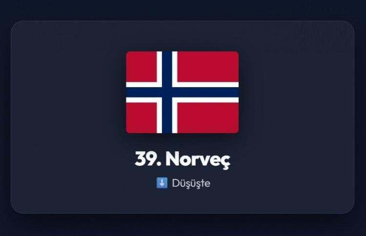 <p><span style="color:#B22222"><strong>39)&nbsp; NORVE&Ccedil;</strong></span></p>
