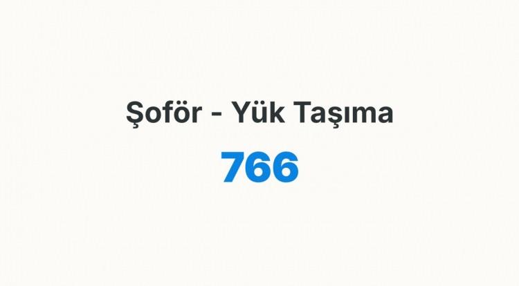 <p><strong>ŞOF&Ouml;R- Y&Uuml;K TAŞIMA</strong></p>
