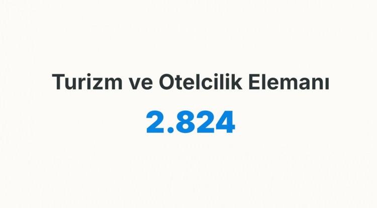 <p><strong>TURİZİM VE OTELCİLİK ELEMANI&nbsp;</strong></p>
