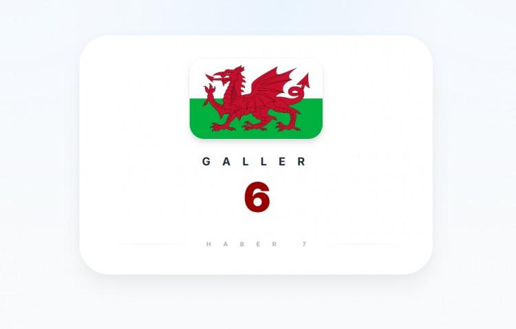 <p><span style="color:#B22222"><strong>GALLER</strong></span></p>
