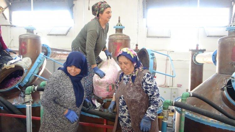 <p>Isparta'da, tonlarca g&uuml;l&uuml;n işlenerek y&uuml;ksek katma değerli g&uuml;l yağına d&ouml;n&uuml;şmesiyle sonu&ccedil;lanırken, ortalama 4 ton g&uuml;lden elde edilen 1 kilogram g&uuml;l yağı, yaklaşık 12 bin avroya satılıyor.</p>
