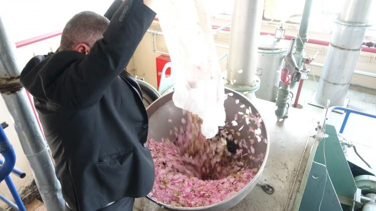 <p>G&uuml;l &uuml;reticisi M&uuml;kerrem &Ccedil;etin Kaya, hasat d&ouml;nemine ilişkin yaptığı a&ccedil;ıklamada şunları s&ouml;yledi:&nbsp;</p>

<p>&nbsp;</p>

<p>"Ben Kule&ouml;n&uuml; Kasabası'nda &ccedil;ift&ccedil;iyim. 6 dekarlık g&uuml;l tarlam var. Bu yıl hasat iyi ge&ccedil;ti. Kilosu 35 liradan toplatma &uuml;creti var ve ben bah&ccedil;emde 6 tane iş&ccedil;i &ccedil;alıştırıyorum.</p>

<p>&nbsp;</p>

<p>&nbsp;</p>

<p>Sabah saat 05.00'te başlayan hasat mesaisi saat 11.00'de sona eriyor. Toplanan g&uuml;ller &ouml;ğle saatlerine kadar teslim ediliyor. Ardından ertesi g&uuml;n&uuml;n hasadı i&ccedil;in hazırlıklara başlanıyor.&nbsp;</p>

<p>&nbsp;</p>

<p>1986 yılından bu yana g&uuml;l yetiştiriciliği yapıyorum. G&uuml;l yağı, kozmetik sanayisinin yanı sıra re&ccedil;el ve lokum gibi gıda &uuml;r&uuml;nlerinin &uuml;retiminde de kullanılıyor.&nbsp;</p>

<p>&nbsp;</p>

<p>&nbsp;</p>

<p>Bu yıl yağışların bol olması nedeniyle verim iyi. Şubat ayında budama ile başlayan s&uuml;re&ccedil;, ila&ccedil;lama &ccedil;alışmalarıyla devam ediyor.&nbsp;</p>

<p>&nbsp;</p>

<p>&nbsp;</p>

<p>Hasat sezonu yaklaşık bir ay s&uuml;r&uuml;yor. Sezonun ardından yeniden ila&ccedil;lama ve bakım &ccedil;alışmaları yapılıyor."</p>
