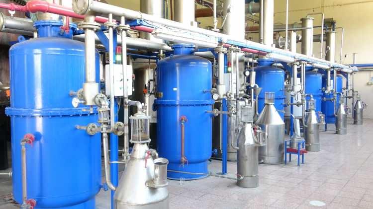 <p>G&uuml;llerin g&uuml;n&uuml;n ilk ışıklarıyla birlikte toplandığını belirten Sel&ccedil;uk, fabrikalarda işlenerek g&uuml;l yağı, g&uuml;l suyu, konkret ve &ccedil;eşitli &uuml;r&uuml;nlere d&ouml;n&uuml;şt&uuml;r&uuml;ld&uuml;ğ&uuml;n&uuml; ifade etti.&nbsp;</p>

<p>&nbsp;</p>

<p>Isparta'da g&uuml;l&uuml;n yalnızca tarımsal bir &uuml;r&uuml;n olmadığını vurgulayan Sel&ccedil;uk, g&uuml;l re&ccedil;elinden sabununa, losyonundan kozmetik &uuml;r&uuml;nlerine kadar bir&ccedil;ok alanda değerlendirildiğini s&ouml;yledi.&nbsp;</p>

<p>&nbsp;</p>

<p>G&uuml;l&uuml;n son derece hassas bir &uuml;r&uuml;n olduğunu ve aynı g&uuml;n i&ccedil;erisinde işlenmesi gerektiğini belirten Sel&ccedil;uk, hava ve yağış durumuna g&ouml;re <span style="color:#A52A2A"><strong><em>1 kilogram g&uuml;l yağının ortalama 4 ton g&uuml;lden elde</em></strong></span> edildiğini s&ouml;yledi.</p>
