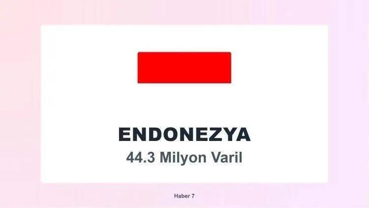 <p><span style="color:inherit"><span style="color:rgb(178, 34, 34)"><strong>22)&nbsp; ENDONEZYA</strong></span></span></p>

<p>&nbsp;</p>
