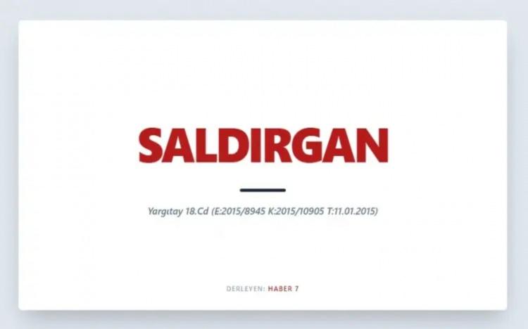 <p><span style="color:#B22222"><strong>SALDIRGAN&nbsp;</strong></span></p>

