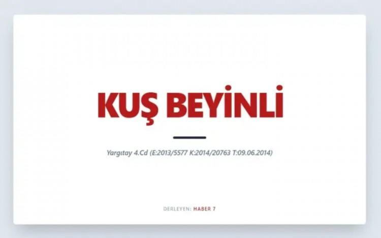 <p><span style="color:#B22222"><strong>KUŞ BEYİNLİ&nbsp;</strong></span></p>
