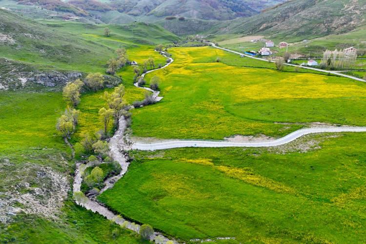 <p>Deniz seviyesinden 2 bin 80 metre y&uuml;kseklikte konumlanan bu b&uuml;y&uuml;leyici vadi sarı &ccedil;i&ccedil;eklerin sadece 20 g&uuml;n s&uuml;ren o kısa ama g&ouml;rkemli a&ccedil;ış d&ouml;nemiyle yerli ve yabancı doğaseverleri ve fotoğraf&ccedil;ıları kendine &ccedil;ekiyor.</p>
