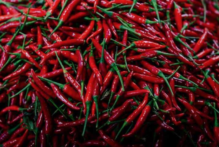 <p>Acı &ouml;l&ccedil;&uuml;m&uuml;n&uuml; yapmamızı bug&uuml;n m&uuml;mk&uuml;n kılan Wilbur Scoville 1865 yılında Amerika'da doğdu. Aslında kendisi, bir aş&ccedil;ı değil eczacıydı. Yaşadığı d&ouml;nemde asıl &uuml;n&uuml;n&uuml;, 1960'lı yıllara kadar başvuru kaynağı olarak kullanılan The Art of Compounding (Bileşim Sanatı) adlı kitabıyla kazandı. Aynı zamanda d&ouml;nemin en b&uuml;y&uuml;k ila&ccedil; şirketlerinden birinde &ccedil;alıştı ve burada &ouml;nemli araştırmalara imza attı.&nbsp;</p>

