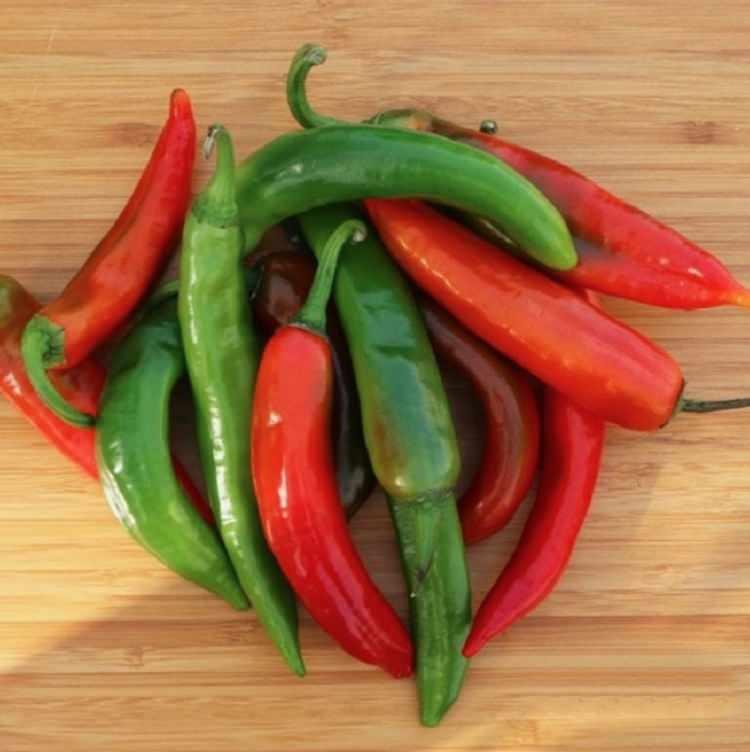 <p>&Uuml;lkemizin en acı biberi ise Samandağ biberidir. Scoville &ouml;l&ccedil;eğine g&ouml;re ortalama 50.000 SHU'dur.</p>
