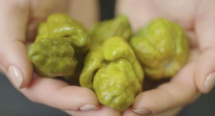 <p><strong>D&Uuml;NYANIN EN ACI BİBERİ</strong></p>

<p>1. PEPPER X<br />
SHU: 2.693.000</p>
