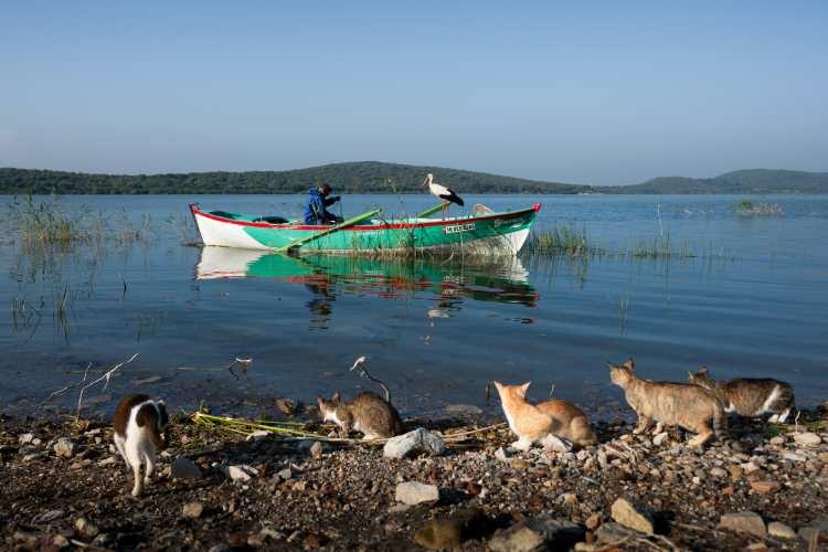 <p><span style="color:rgb(33, 37, 41)">T&uuml;rkiye'yi, Avrupa Leylek K&ouml;yleri Birliği'nde temsil eden tek k&ouml;y olan Bursa'nın Karacabey il&ccedil;esi Eskikaraağa&ccedil; k&ouml;y&uuml;nde balık&ccedil;ı Adem Yılmaz ile Yaren leyleğin dostluğu, milyonlar tarafından ilgiyle takip edilen hikayeye d&ouml;n&uuml;şt&uuml;.</span></p>

