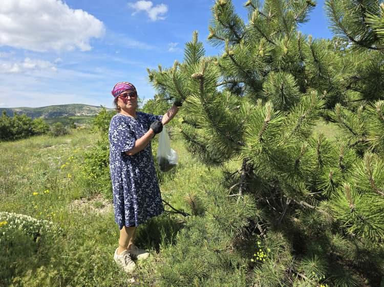 <p>Denediği &uuml;r&uuml;nlerden olumlu sonu&ccedil;lar alınması &uuml;zerine tariflerini geliştirdi.</p>
