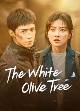 <p>THE WHİTE OLİVE TREE&nbsp;</p>
