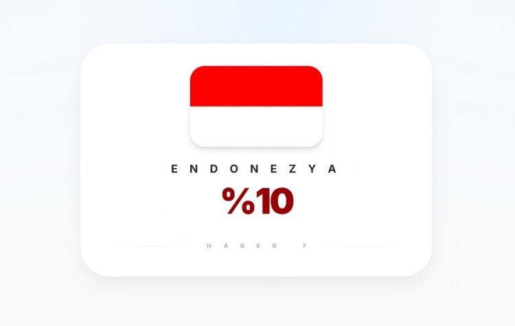 <p><span style="color:#B22222"><strong>ENDONEZYA</strong></span></p>
