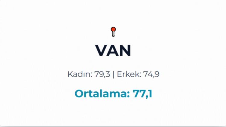 <p>VAN</p>
