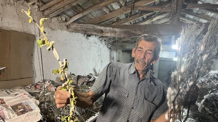 <p>Ankara'nın Nallıhan il&ccedil;esinde yaşayan Ahmet &Ouml;zt&uuml;rk (71), dedesinden ve babasından &ouml;ğrendiği ipek b&ouml;cek&ccedil;iliğini, yaklaşık 60 yıldır s&uuml;rd&uuml;r&uuml;yor. <span style="color:#A52A2A"><strong><em>İşte&nbsp;&Ouml;zt&uuml;rk'&uuml;n 40 g&uuml;nde kazandığı 216 bin TL'lik kazancının hikayesi...</em></strong></span></p>
